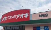 クスリのアオキ城里店