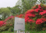 北茨城市立常北中学校