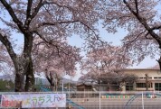 羽鳥幼稚園