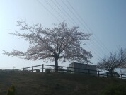 日立市立台原中学校