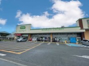 コープひたちなか店