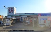 コメリハード&グリーン　総和店