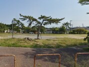 洋向台中央公園