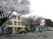 東石川小学校