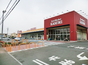 カスミきぬの里店