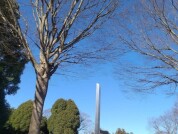 双葉台公園
