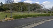 百合丘が丘公園