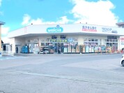 ウェルシア水戸平須店
