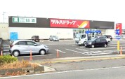 ツルハドラッグ いわき錦店