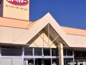 カスミフードストッカー石岡東店