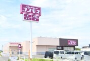 ドラッグストアコスモス 田彦店