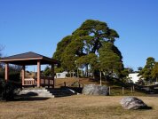 高野堀向公園