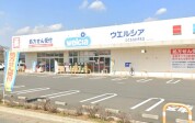 ウエルシアひたちなか市毛店