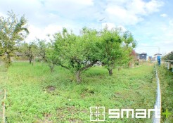～閑静な住宅街の立地～
・周辺は閑静な住宅街となっておりますので、静かな暮らしをご実現いただけます。
・前面道路の交通量も多くないので、小さなお子様がいるご家庭でもご安心ですね。
