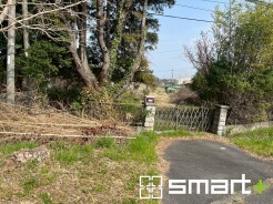 ～閑静な住宅街の立地～
・周辺は閑静な住宅街となっておりますので、静かな暮らしをご実現いただけます。
・前面道路の交通量も多くないので、小さなお子様がいるご家庭でもご安心ですね。

