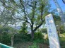 病院