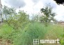 ただ『　住む　』だけじゃない！　気持ち良く住んで欲しい気持ちをこめて・・・。　お家の事、街の事、お金の事、　何でも相談して下さい！