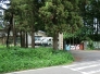 幼稚園