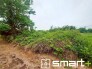 ～閑静な住宅街の立地～
・周辺は閑静な住宅街となっておりますので、静かな暮らしをご実現いただけます。
・前面道路の交通量も多くないので、小さなお子様がいるご家庭でもご安心ですね。
