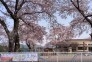 幼稚園