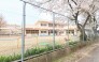 幼稚園