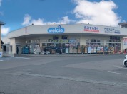 ウェルシア 水戸平須店