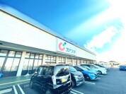 カワチ薬品 千代田店