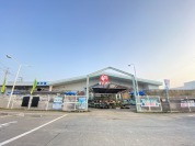 コメリハード&グリーン 八郷店