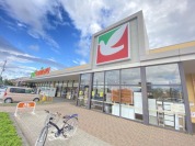 ヨークベニマル大成店